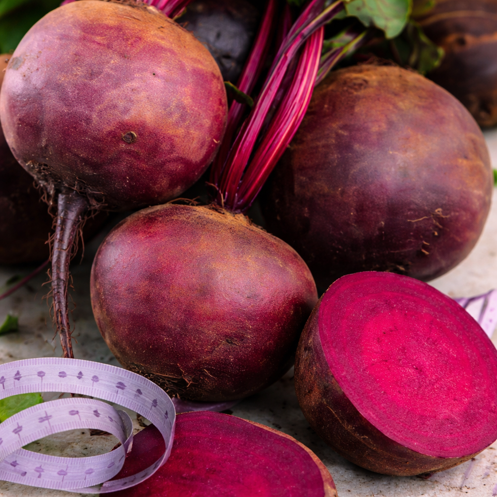 Photo de Betterave ‘Boltardy’ sur ruban. Betterave ‘Boltardy’ sur ruban (Beta vulgaris) produit des racines globulaires à chair tendre et sucrée, d’un rouge profond sans anneau. La couleur caractéristique est : vert moyen. Le feuillage présente ce coloris : vert moyen. Les racines présentent cette forme : ronde. Le visuel permet d’observer les contours, les teintes et la disposition des éléments présentés.