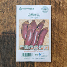 Sachet de semences Betterave Cylindra. Emballage blanc photographié de face sur un fond de bois brun. Une image du végétal occupe la partie centrale, sous le nom imprimé. De petits pictogrammes et un code-barres apparaissent au bas du sachet. La marque Écoumène figure dans la partie supérieure de cette présentation.