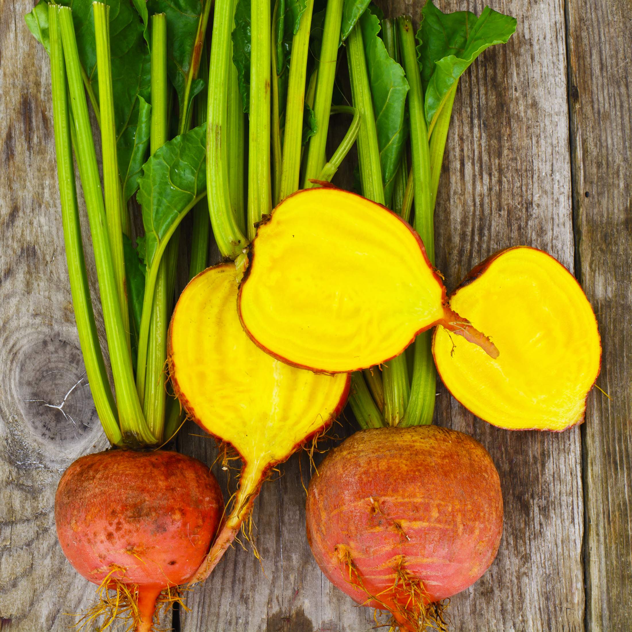 Yellow Beetroot