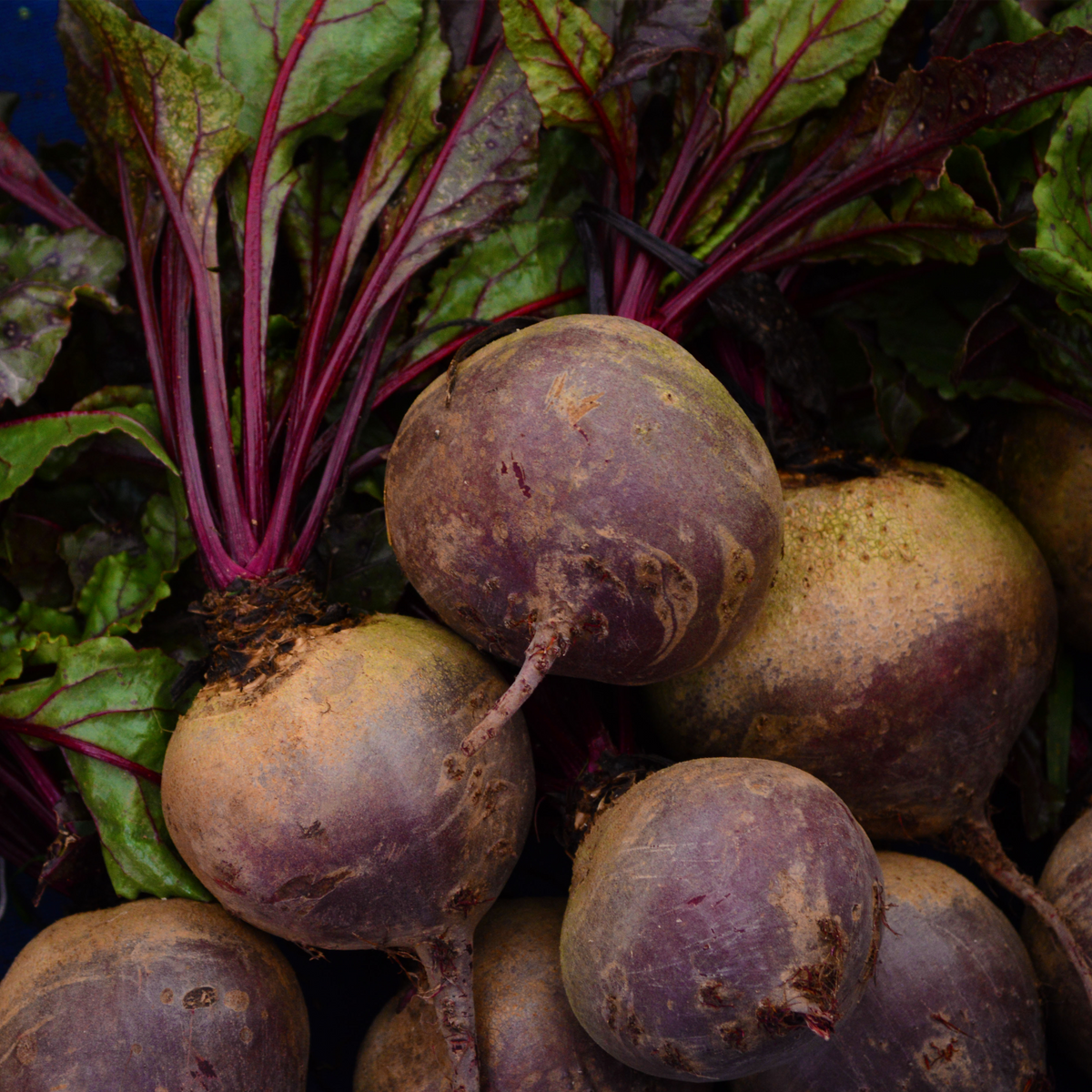 Red Beet