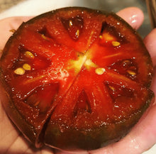 Organic 'Black Krim' Tomato