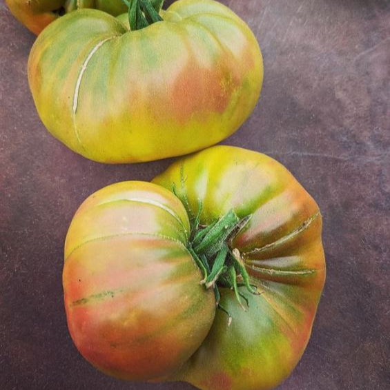 Tomato 'Black Pineapple' organic
