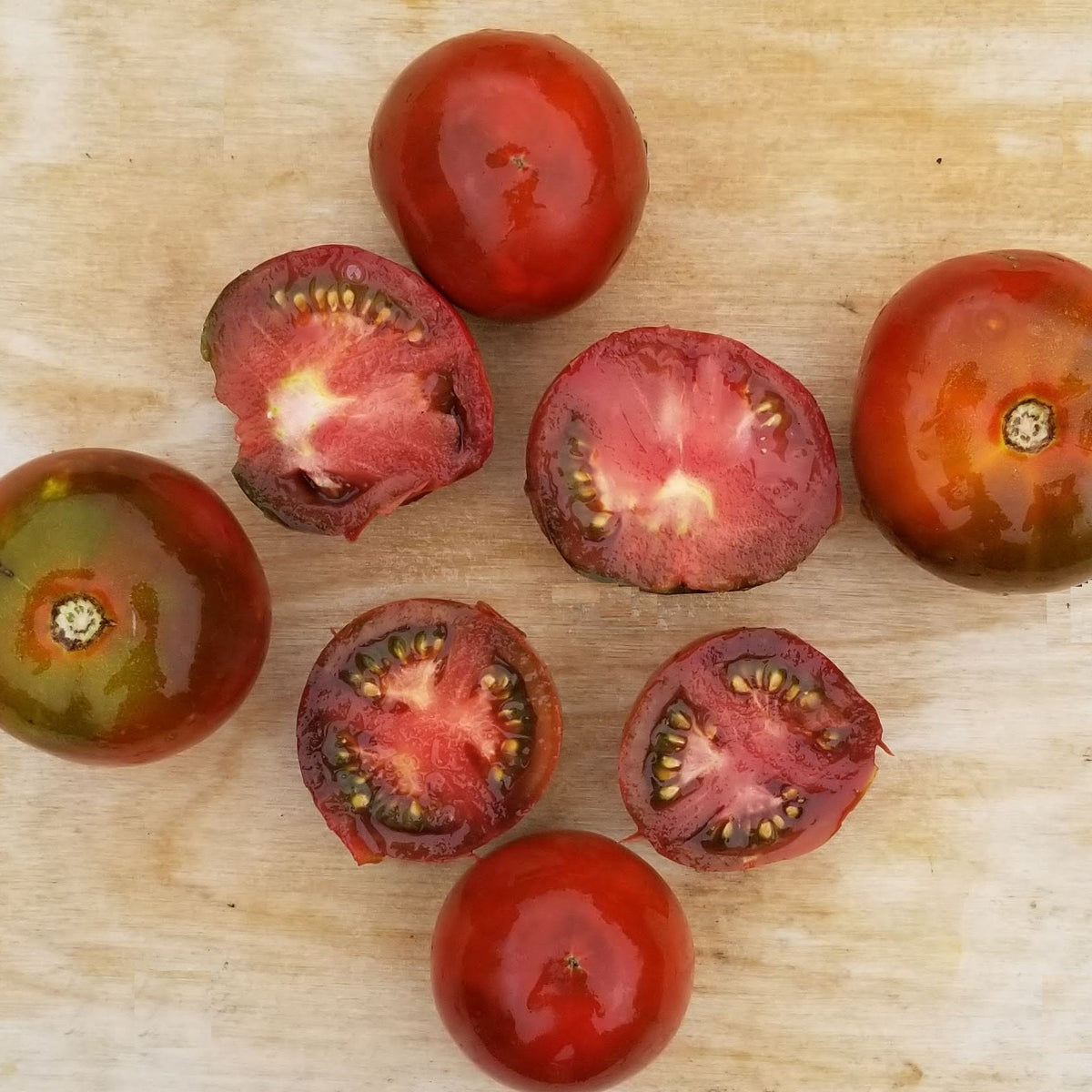 Tomate 'Black Prince' bio