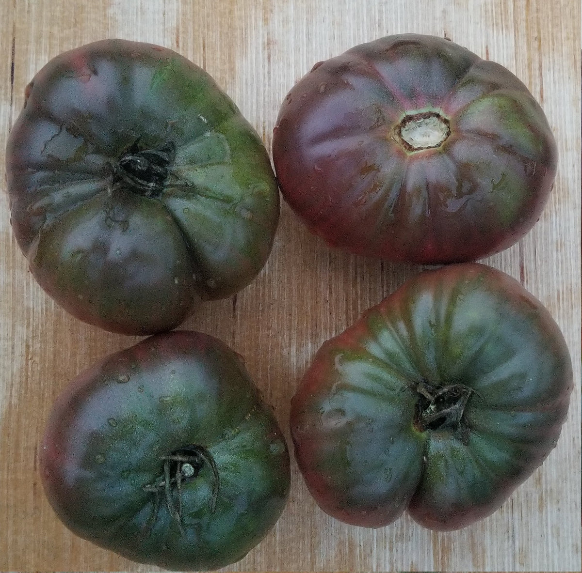 Tomate Black Seaman – Gaia Organic Seeds