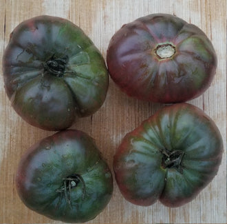 Organic 'Black Seaman' Tomato Seeds by Gaia, product image prepared for Canadian gardeners.