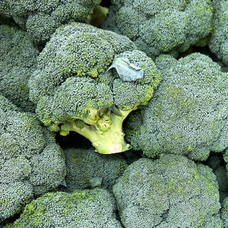 Photo de Brocoli 'Diplomat' F1. Le visuel permet d'observer les contours, les teintes et la disposition des éléments présentés. Les détails de forme et les contrastes donnent un aperçu de l'apparence de cette plante ou de sa récolte. Cette photographie accompagne la variété nommée afin de l'identifier dans la sélection de semences.
