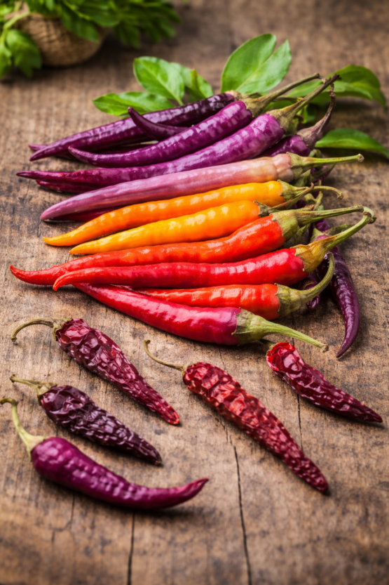 Piment fort 'Buena Mulata' bio