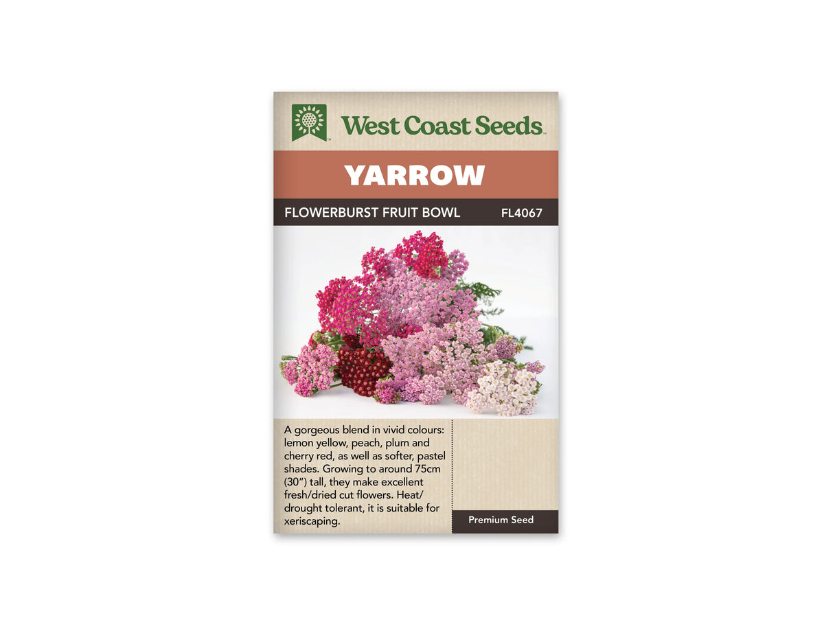 Le sachet West Coast Seeds présente un bouquet d'achillées posé sur un fond blanc. Les groupes de petites fleurs sont roses, rouge cerise, mauves et presque blancs, avec quelques centres clairs visibles. Des feuilles vertes finement découpées dépassent derrière les fleurs. Le bandeau indique Flowerburst Fruit Bowl et la référence FL4067 au-dessus de la photographie.
