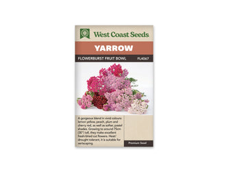 Le sachet West Coast Seeds présente un bouquet d'achillées posé sur un fond blanc. Les groupes de petites fleurs sont roses, rouge cerise, mauves et presque blancs, avec quelques centres clairs visibles. Des feuilles vertes finement découpées dépassent derrière les fleurs. Le bandeau indique Flowerburst Fruit Bowl et la référence FL4067 au-dessus de la photographie.