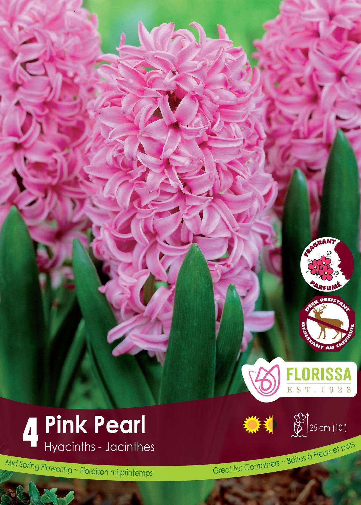 Jacinthe ‘Pink Pearl’ ( Hyacinthus orientalis ) : des grappes de jacinthes roses. Le visuel Florissa présente la plante et son nom dans la partie inférieure de l’étiquette. La photographie occupe presque toute la surface, tandis que le bandeau du bas rassemble les indications du produit. Cette vue permet de reconnaître son apparence et de distinguer la variété présentée.