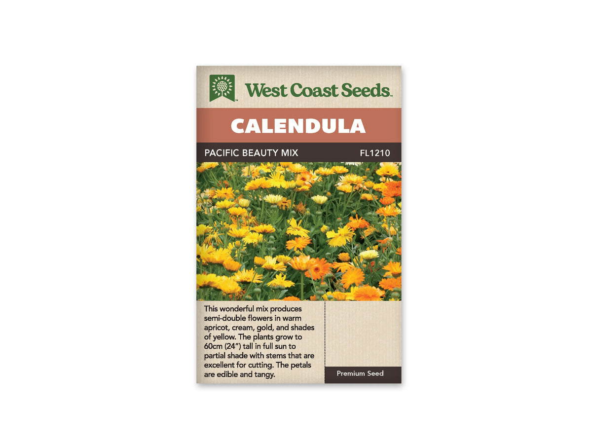 Sachet Pacific Beauty Mix de West Coast Seeds sur fond blanc. La photo présente de nombreux soucis jaunes, orange et crème, portés sur des tiges vertes au milieu du feuillage. Des boutons et des fleurs ouvertes sont visibles ensemble. Le bandeau orangé indique Calendula et la référence FL1210 se lit sur la bande brune.