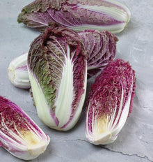 Choux Red Scarvita disposés sur une surface gris clair, avec des pommes entières et des moitiés coupées. Les feuilles magenta et pourpres sont traversées de larges côtes blanches. Les coupes révèlent des couches serrées et un cœur pâle. Quelques zones vertes apparaissent sur les feuilles extérieures, tandis que les bords frisés donnent du relief aux pommes.