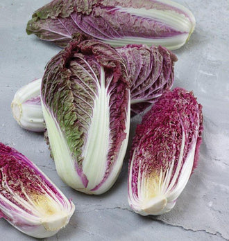 Choux Red Scarvita disposés sur une surface gris clair, avec des pommes entières et des moitiés coupées. Les feuilles magenta et pourpres sont traversées de larges côtes blanches. Les coupes révèlent des couches serrées et un cœur pâle. Quelques zones vertes apparaissent sur les feuilles extérieures, tandis que les bords frisés donnent du relief aux pommes.