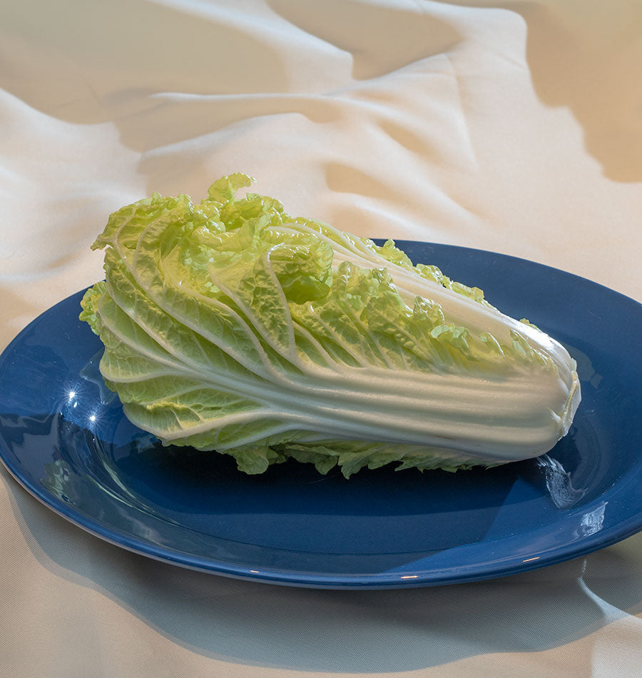 Chou China Gold posé à l’horizontale sur une assiette bleue. La pomme allongée montre de larges côtes blanches et des feuilles vert clair légèrement frisées. Les nervures pâles se ramifient vers les extrémités feuillues. Un tissu crème forme des plis derrière l’assiette, tandis que la lumière met en relief les côtes et les bords des feuilles.
