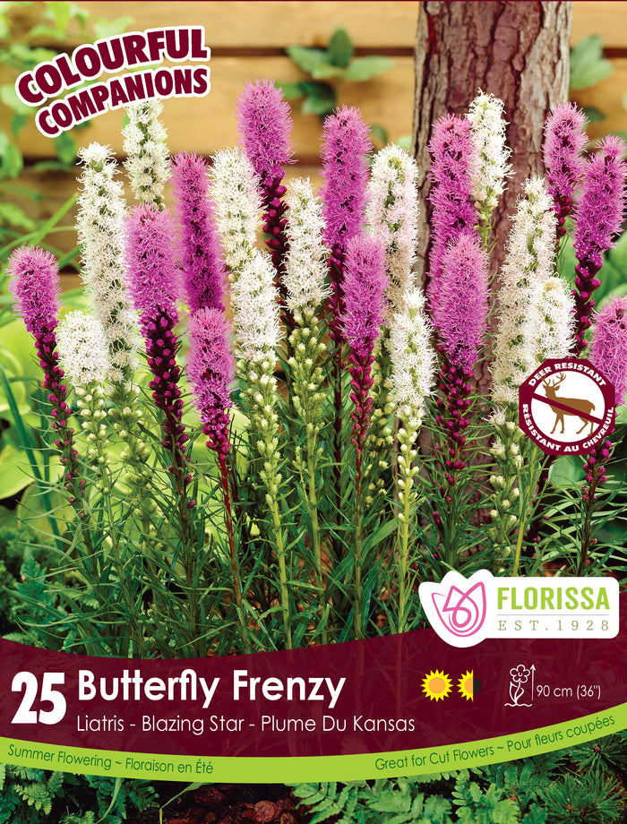 Harmonie 'Butterfly Frenzy'