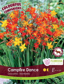 Harmony 'Campfire Dance'