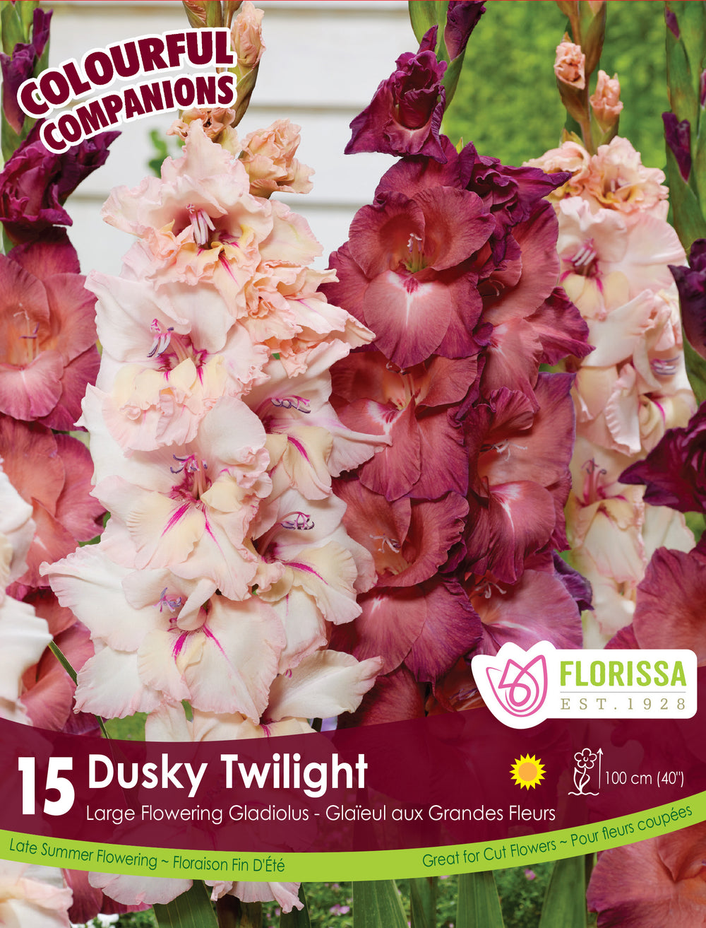 Harmony 'Dusky Twilight'
