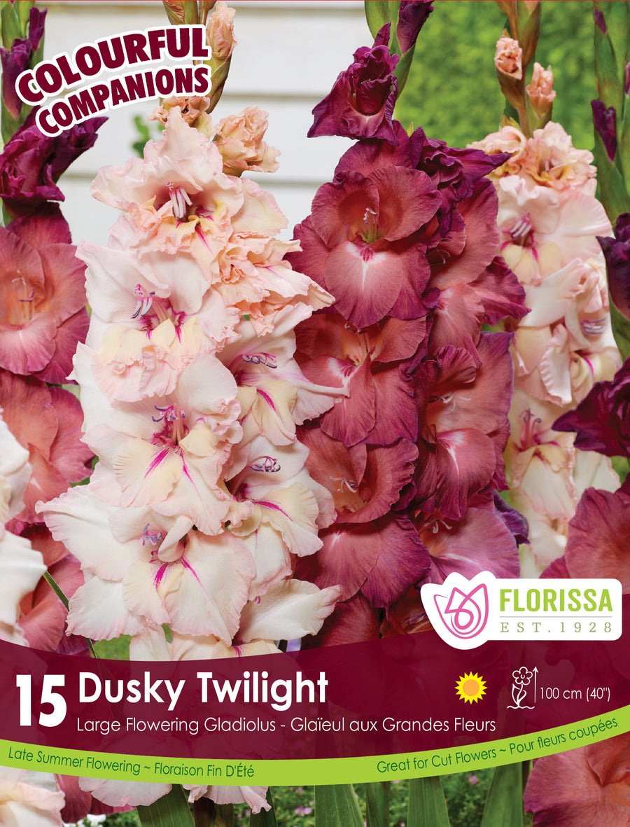 Harmonie 'Dusky Twilight'