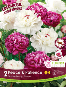 Harmonie ‘Peace & Patience’ ( Paeonia lactiflora ) : des pivoines doubles blanches et rose pourpré. Le visuel Florissa présente la plante et son nom dans la partie inférieure de l’étiquette. La photographie occupe presque toute la surface, tandis que le bandeau du bas rassemble les indications du produit. Cette vue permet de reconnaître son apparence et de distinguer la variété présentée.