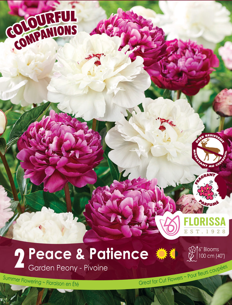Harmony 'Peace & Patience'