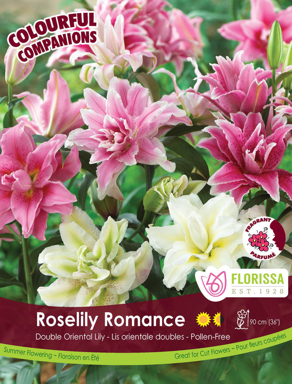 Harmony 'Roselily Romance Mix'