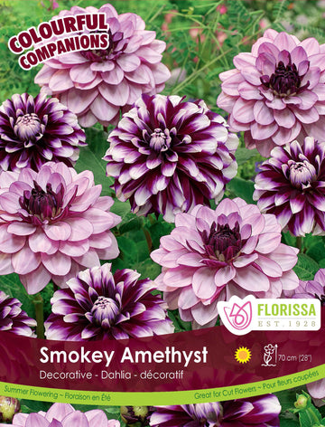 Harmony 'Smokey Amethyst'