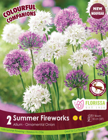 ‘Summer Fireworks’ Allium mix (<em>Allium</em> ‘Graceful Beauty’ + <em>Allium</em> ‘Millenium’)