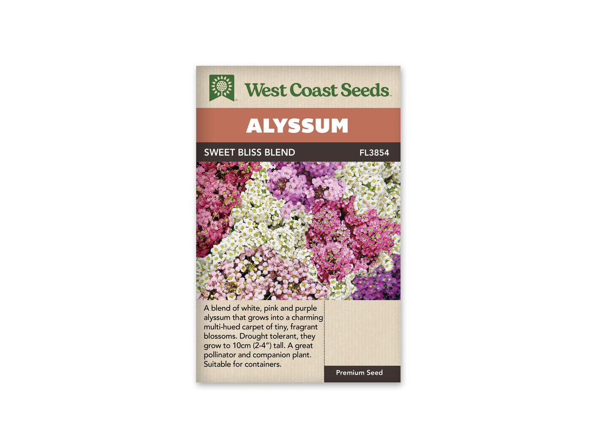Sachet d’alysse Sweet Bliss Blend de West Coast Seeds sur fond blanc. La photographie présente des groupes de petites fleurs blanches, roses, mauves et violettes, avec des centres jaunes ou pâles. Le nom du mélange et la référence FL3854 figurent sous le bandeau Alyssum. Un texte descriptif anglais apparaît dans la partie beige inférieure.