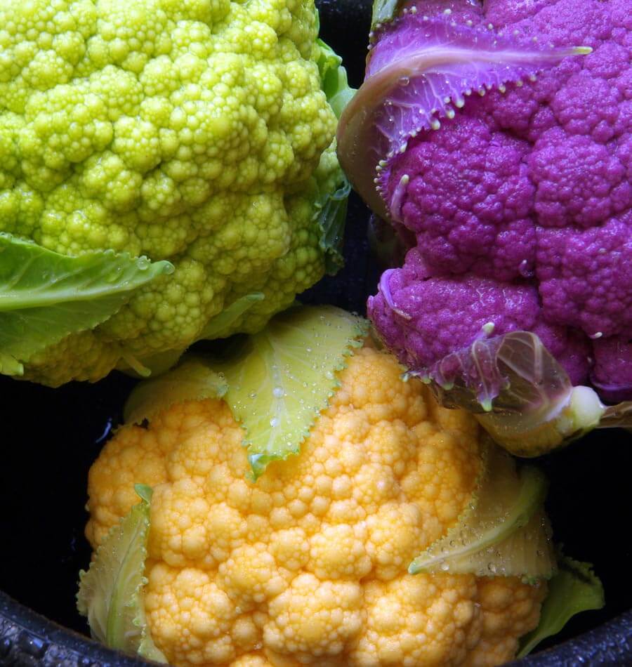Trois pommes de chou-fleur Multi-Colour Blend sont réunies en gros plan dans un contenant sombre. Une pomme verte apparaît en haut à gauche, une pourpre en haut à droite et une orange dans le bas. Quelques feuilles pâles reposent sur les fleurettes serrées, avec des gouttelettes visibles sur la surface et le feuillage.