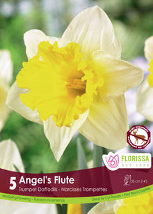 Narcissus Angel's Flute