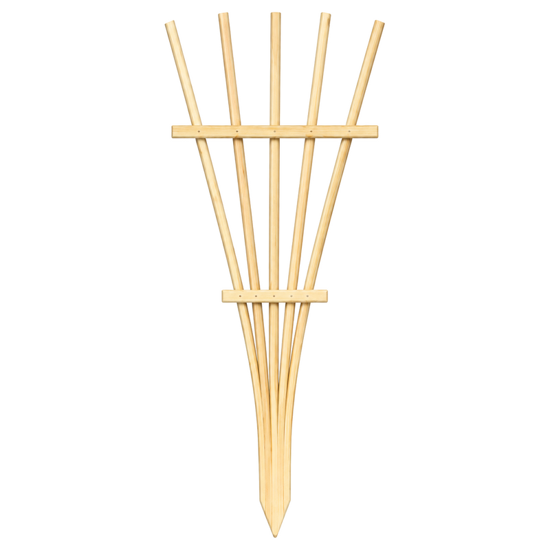 Treillis pour plantes en pin teint cèdre – 15 × 40 po