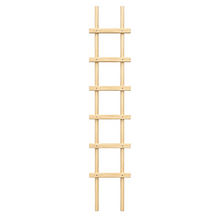 Treillis pour plantes en pin teint cèdre – 8 × 48 po