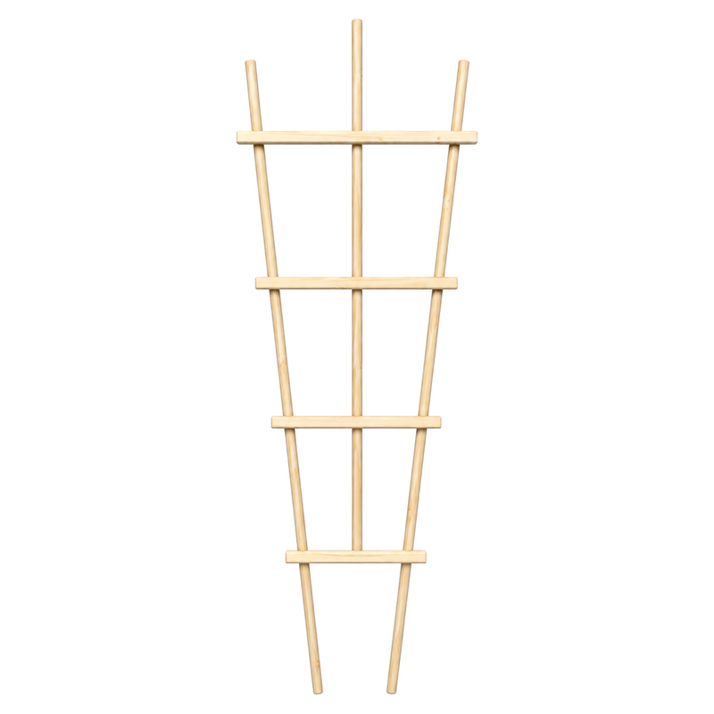 Treillis pour plantes en pin teint cèdre – 14 × 48 po