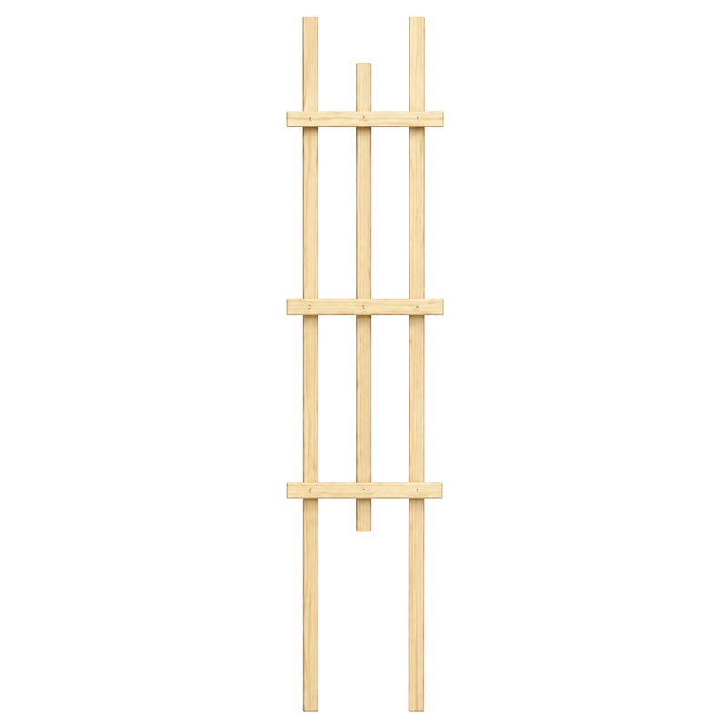 Treillis pour plantes en pin teint cèdre – 5 × 24 po