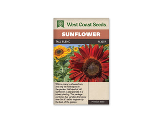 Sachet beige de semences Tall Blend avec bandeau terre cuite et nom sur fond brun. Une grande fleur rouge sombre domine à droite, avec un disque brun foncé et des pétales allongés. Des tournesols jaunes apparaissent derrière elle, plus petits dans la perspective. Des feuilles vertes et des tiges remplissent le fond, sous une mince bande de ciel bleu.