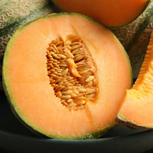 Cantaloup 'Sarah's Choice'