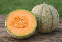 Cantaloupe 'Halona Hybrid'