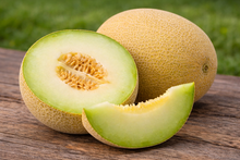 Cantaloupe 'Passport'