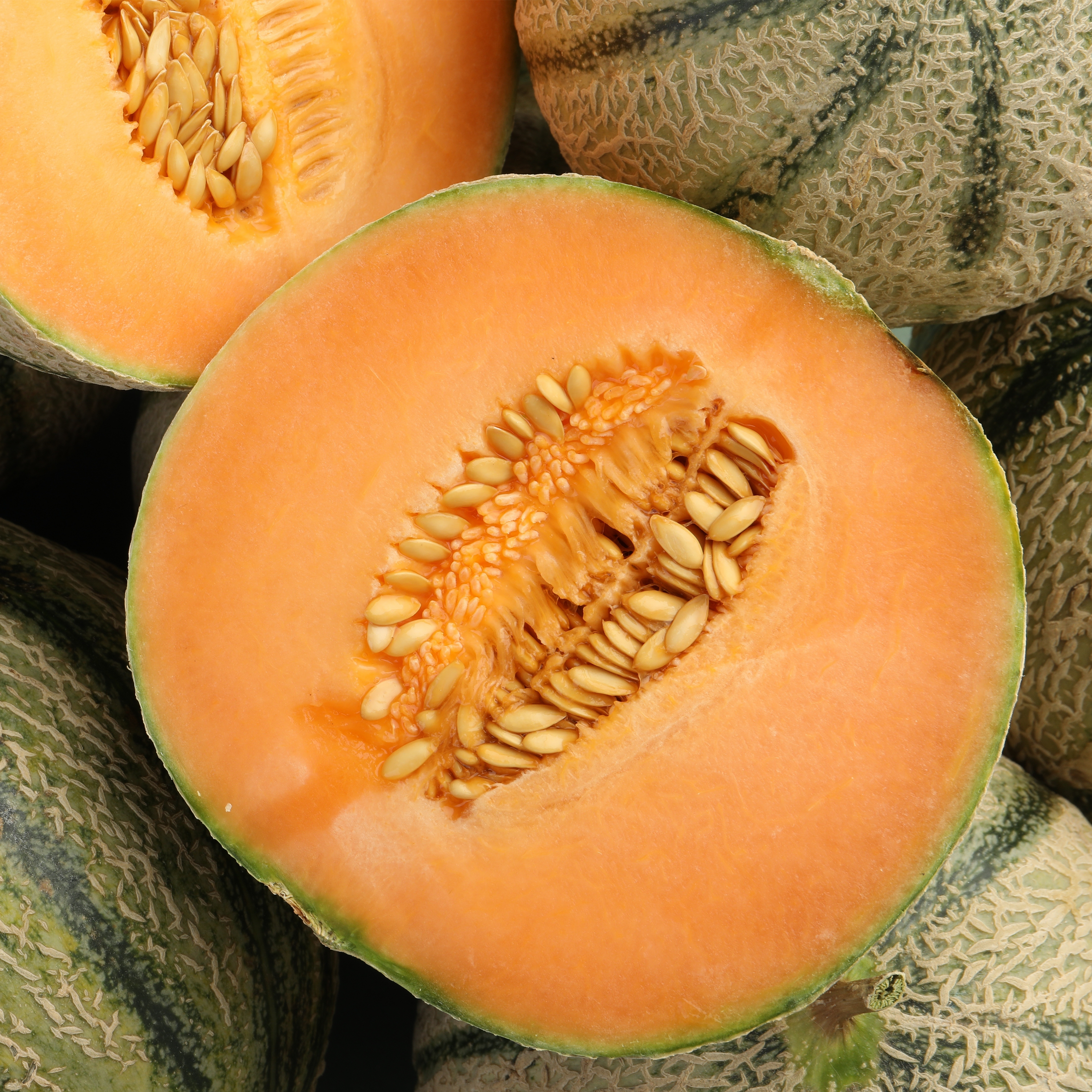 Cantaloupe