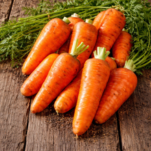 'Chantenay à Cœur Rouge' carrot on organic ribbon