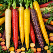 Organic 'Witch's Finger' Carrot