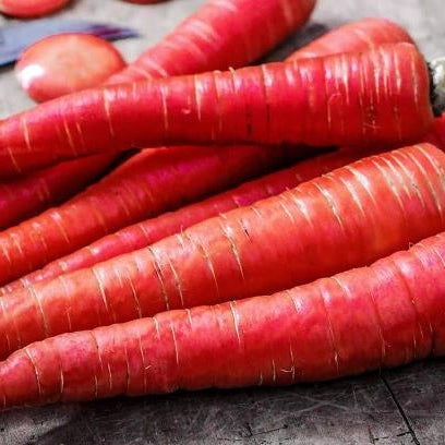 Organic 'Kyoto Red' Carrot
