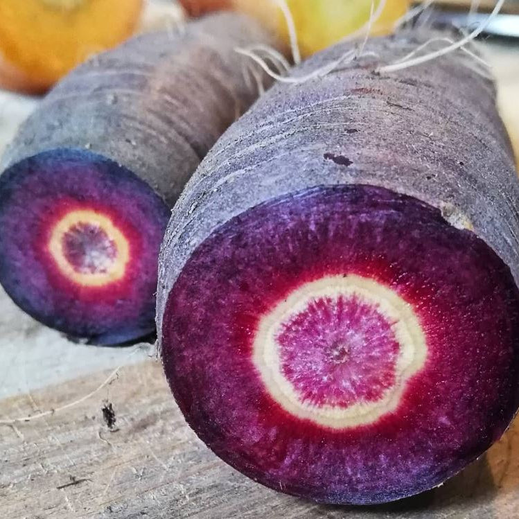 Carotte 'Purple Sun' bio