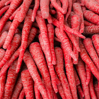 Photo de Carotte rouge 'Malbec' F1. La couleur caractéristique est : rouge. Le visuel permet d'observer les contours, les teintes et la disposition des éléments présentés. Les détails de forme et les contrastes donnent un aperçu de l'apparence de cette plante ou de sa récolte. Cette photographie accompagne la variété nommée afin de l'identifier dans la sélection de semences.