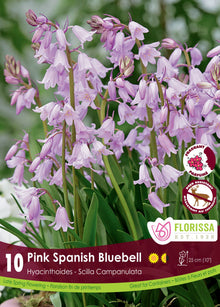Jacinthe d’Espagne rose ( Hyacinthoides hispanica) : des grappes de clochettes roses parmi de longues feuilles vertes. Le visuel Florissa présente la plante et son nom dans la partie inférieure de l’étiquette. La photographie occupe presque toute la surface, tandis que le bandeau du bas rassemble les indications du produit. Cette vue permet de reconnaître son apparence et de distinguer la variété présentée.