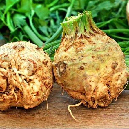 Organic 'Mars' Celeriac