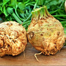 Organic 'Mars' Celeriac