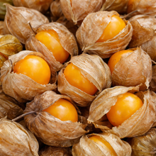 Organic ground cherry