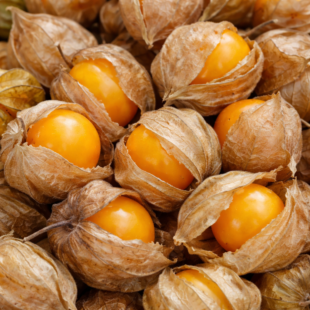 Organic ground cherry
