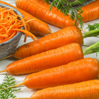 Des carottes orange courtes, épaisses et coniques sont alignées en diagonale. Des brins de feuillage vert accompagnent les racines et dépassent autour du groupe. Un petit récipient métallique contient des carottes râpées près des légumes entiers. La différence entre les racines allongées et les fins morceaux râpés est visible dans cette composition de légumes et de verdure.